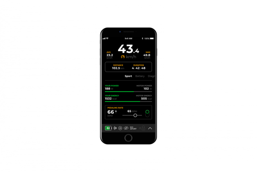 SpeedBox 3.3 B.Tuning for Giant